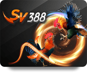 Dafabet Casino Live: Where Every Game Comes to Life